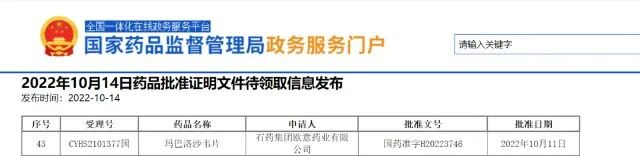 bck体育官网