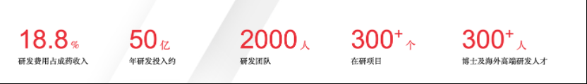 bck体育官网