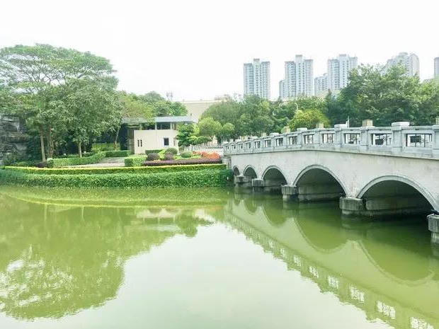 bck体育官网