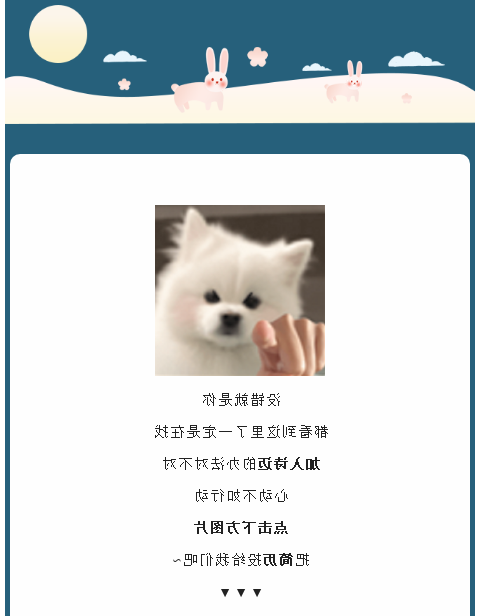 bck体育官网