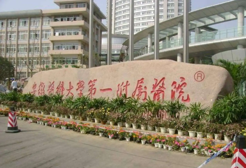 bck体育官网