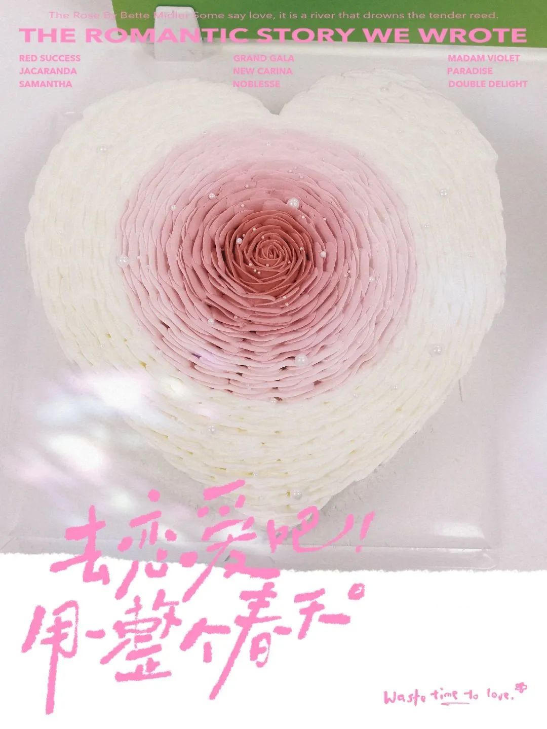 bck体育官网