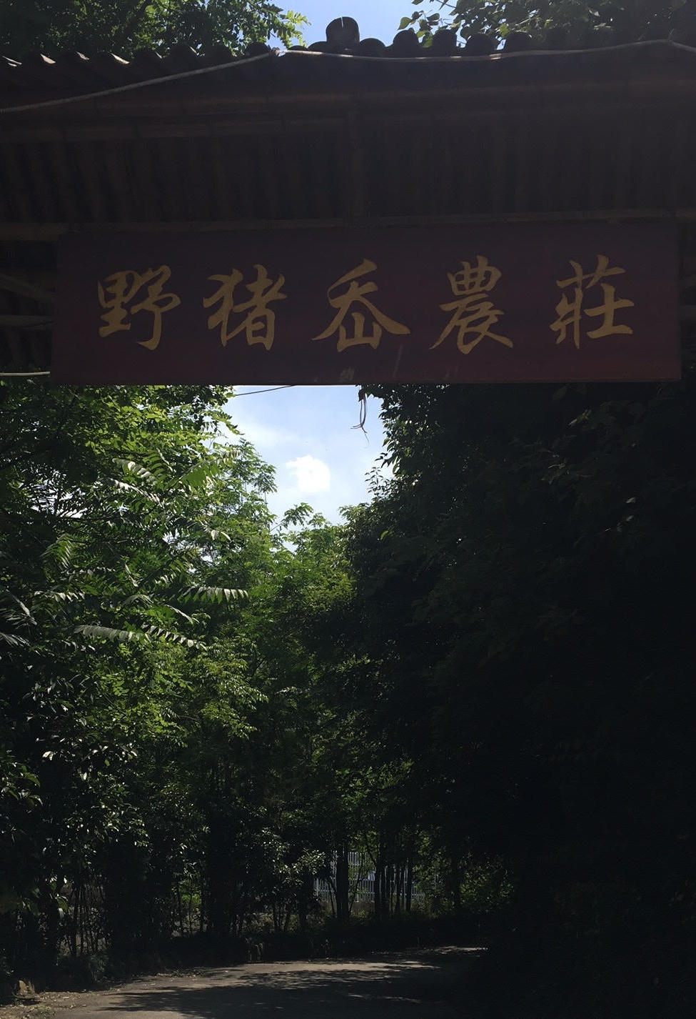bck体育官网