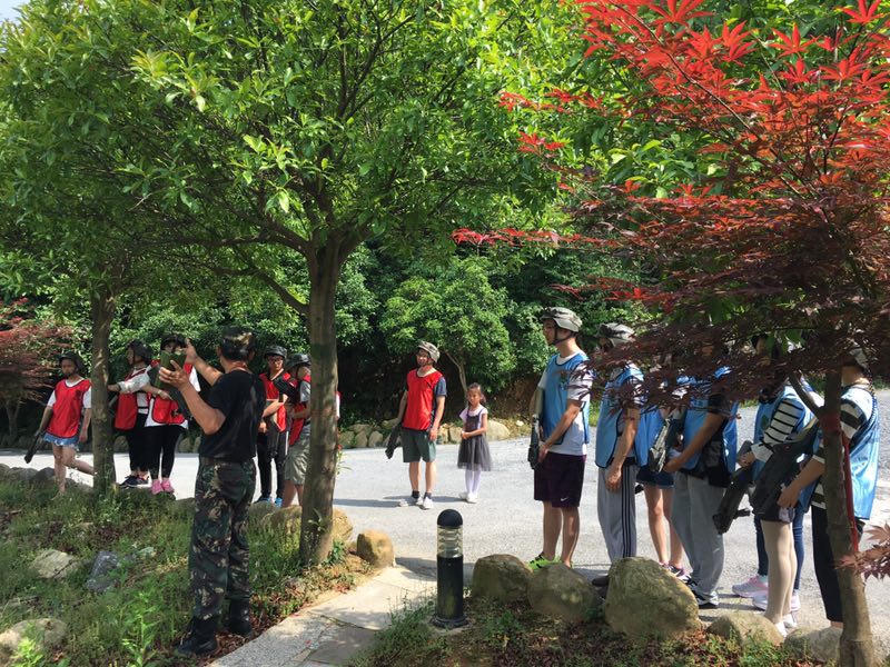 bck体育官网